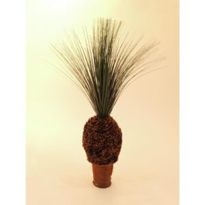 EUROPALMS Rain grass palm with nodule trunk, 90cm