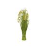 EUROPALMS Reed Grass Bunch 118cm