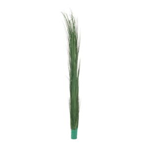 EUROPALMS Reed grass, dark green, 127cm