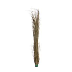 EUROPALMS Reed grass, khaki, 127cm