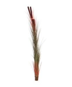 EUROPALMS Reed grass w/ cattails, light-brown,152cm