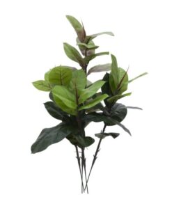 EUROPALMS Rubber tree, 100cm