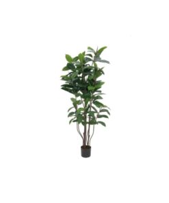 EUROPALMS Rubber tree, 150cm