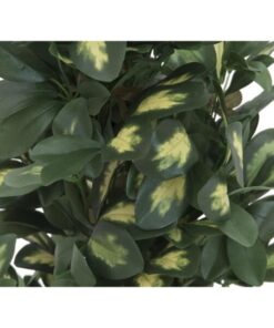 EUROPALMS Schefflera, 120cm