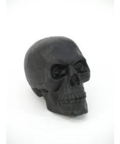 EUROPALMS Skull, black