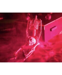 EUROPALMS Skull, black