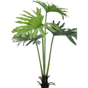 EUROPALMS Split Philo Plant, 120cm