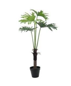EUROPALMS Split Philo Plant, 120cm