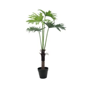 EUROPALMS Split Philo Plant, 120cm