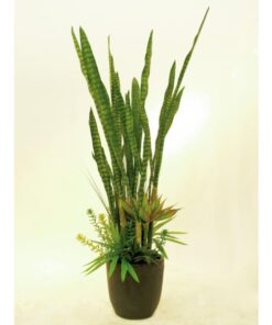 EUROPALMS Succulent-Mix, 190cm