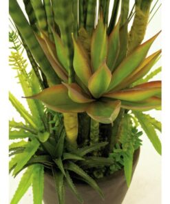 EUROPALMS Succulent-Mix, 190cm