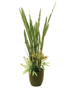 EUROPALMS Succulent-Mix, 190cm