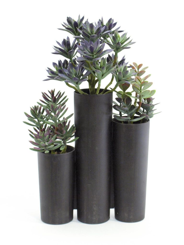 EUROPALMS Succulent trio, 43cm