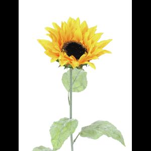 EUROPALMS Sunflower, 110cm