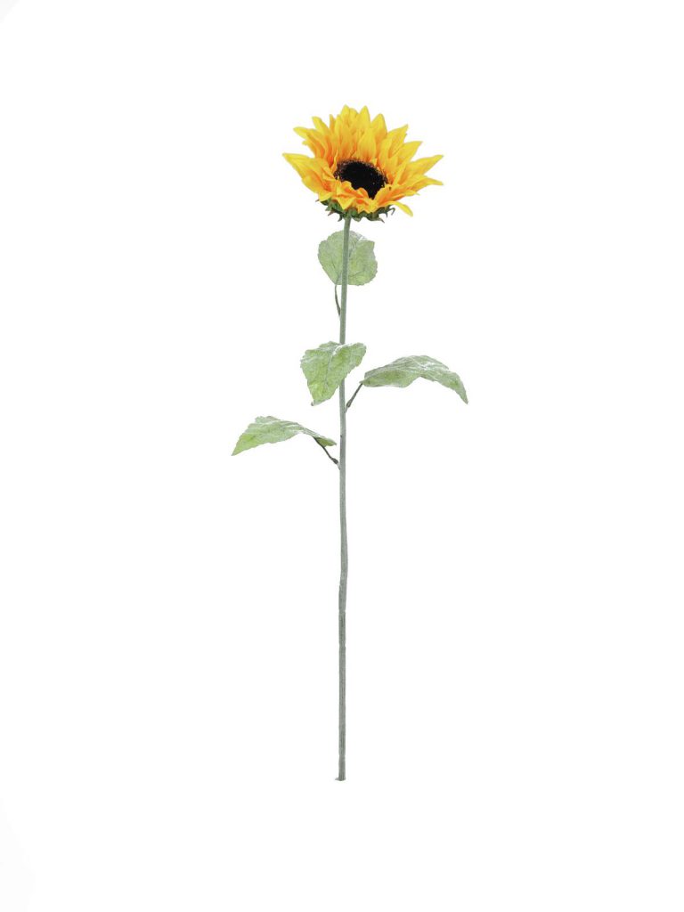 EUROPALMS Sunflower, 110cm