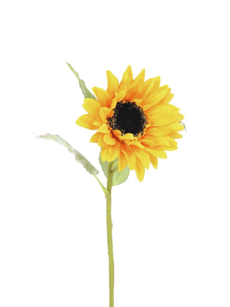 EUROPALMS Sunflower, 70cm