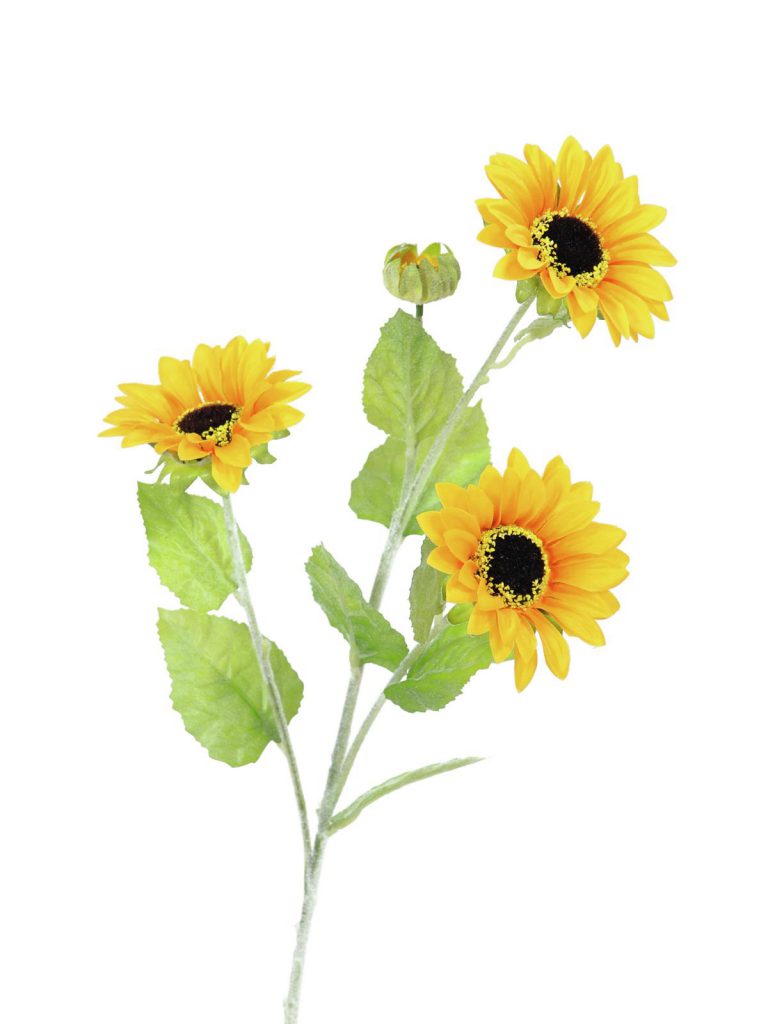 EUROPALMS Sunflower Branch x 3, 70cm