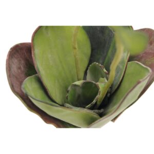 EUROPALMS Water Lily (EVA), closed, green, 45cm