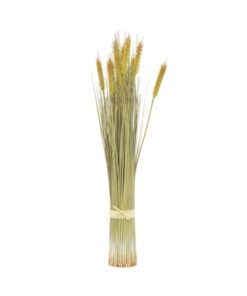 EUROPALMS Wheat bunch, 60cm