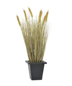 EUROPALMS Wheat ready to harvest 60cm