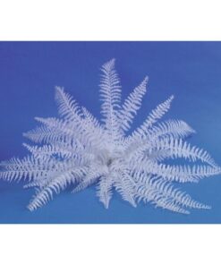 EUROPALMS White boston fern, 60cm