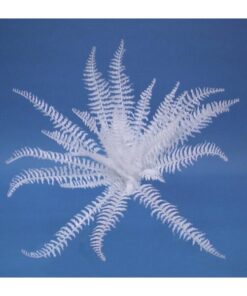 EUROPALMS White boston fern, 60cm