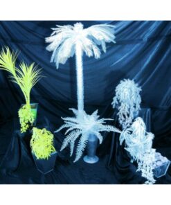 EUROPALMS White boston fern, 60cm