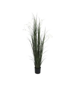 EUROPALMS Willow branch grass, 183cm