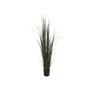 EUROPALMS Willow branch grass, 183cm