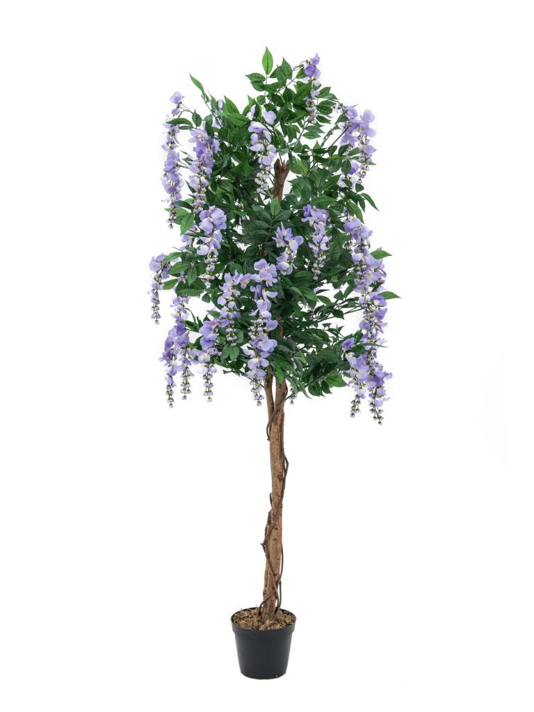 EUROPALMS Wisteria, purple, 180cm