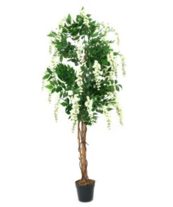 EUROPALMS Wisteria, white, 150cm