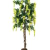 EUROPALMS Wisteria, yellow, 180cm