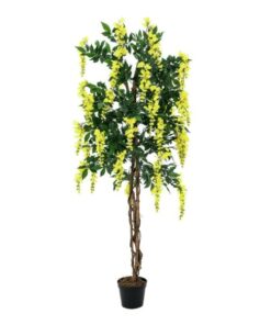 EUROPALMS Wisteria, yellow, 180cm