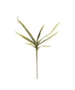 EUROPALMS Yucca Branch (EVA), green