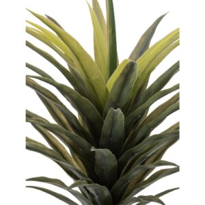 EUROPALMS Yucca palm, 165cm