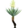EUROPALMS Yucca palm with blossoms, 222cm