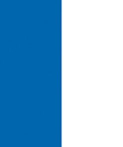 Electric confetti cannon Pro