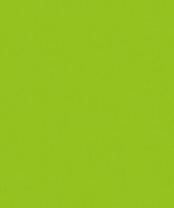 Electric confetti cannon Pro 80cm, Verde chiaro