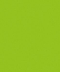 Electric streamer cannon Pro 80cm, Verde chiaro