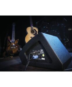 M12 Monitor attivo da 12