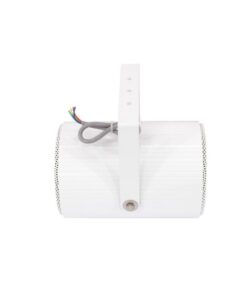 OMNITRONIC PS-25 Projector Speaker