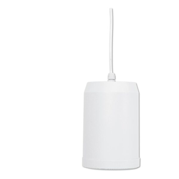 OMNITRONIC WP-10W Ceiling Speaker