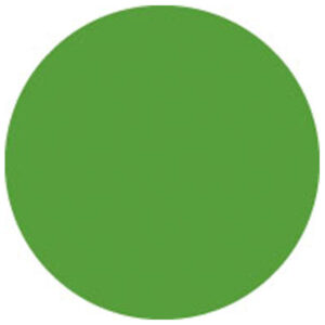 Colour Roll 122 x 762 cm Verde felce