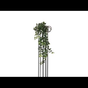 EUROPALMS Philodendron Bush Classic, 100cm