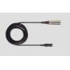 Shure BCASCA-XLR4