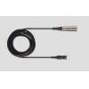 Shure BCASCA-XLR5