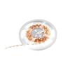EUROLITE LED Strip 300 5m 3528 3000K 12V bendable