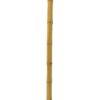 EUROPALMS Bamboo tube, Ø=12cm, 200cm