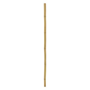 EUROPALMS Bamboo tube, Ø=5cm, 200cm