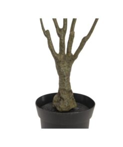 EUROPALMS Dracena, green-red, 90cm